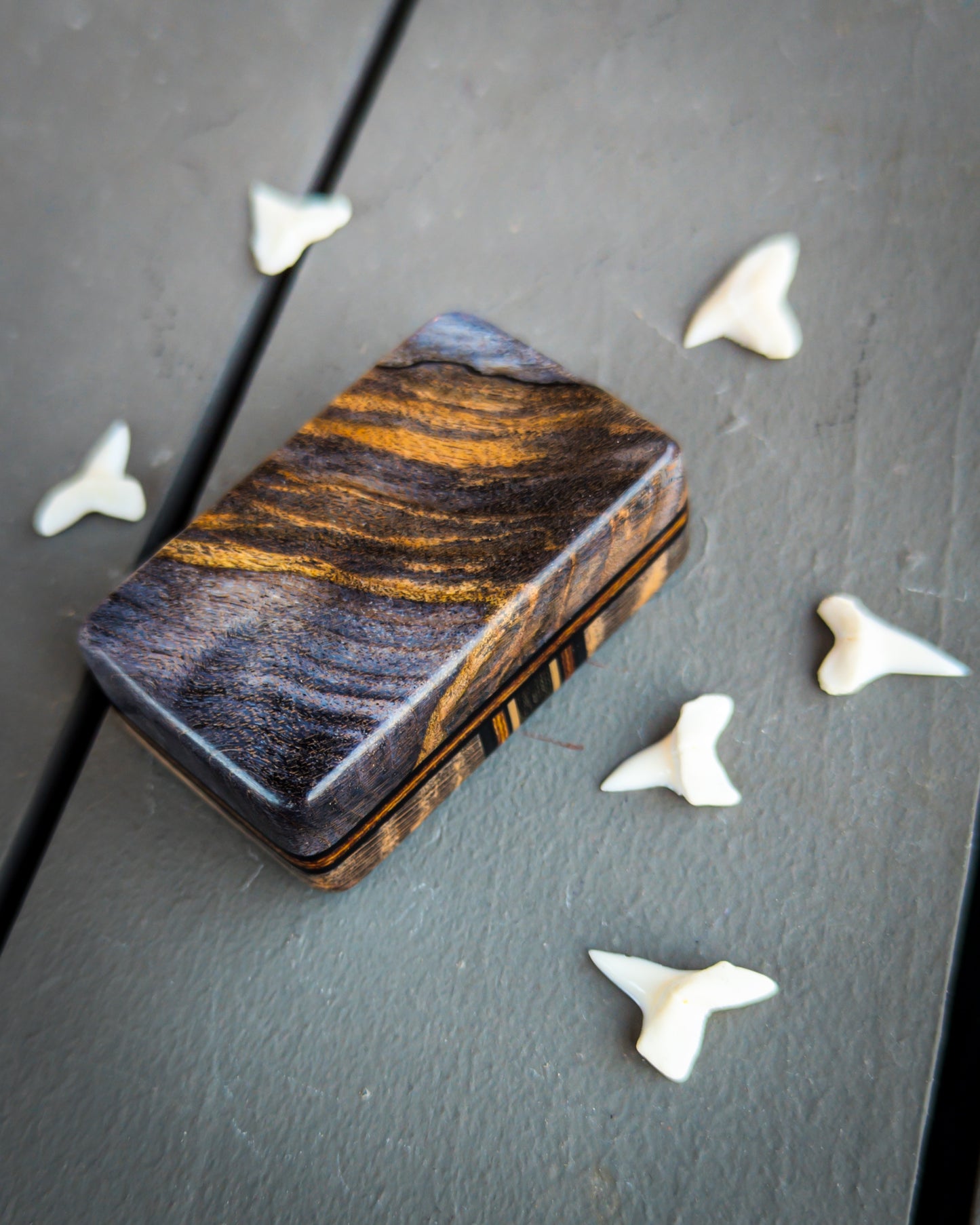 Shark Bite #41 - Small