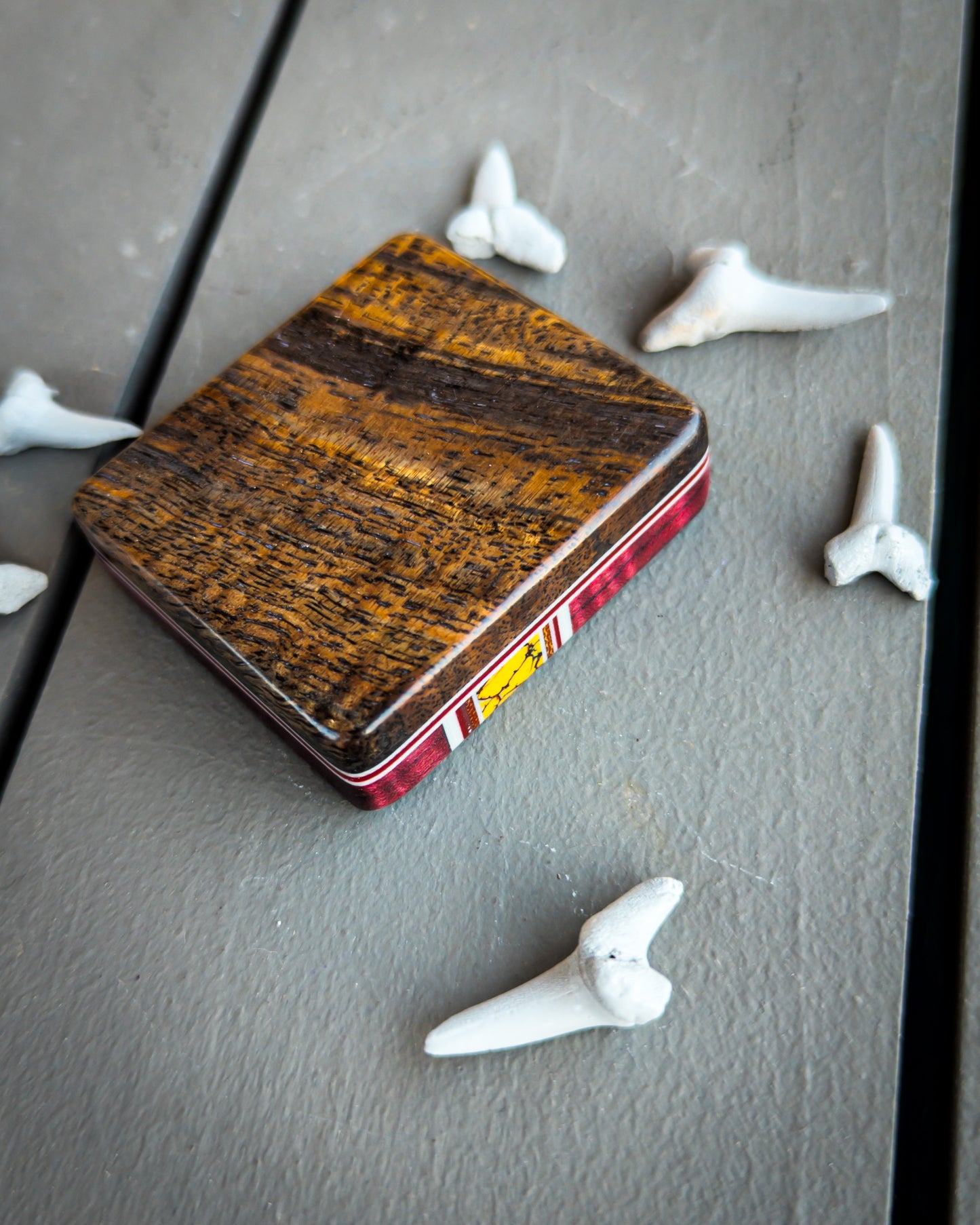 Shark Bite #37 - Small