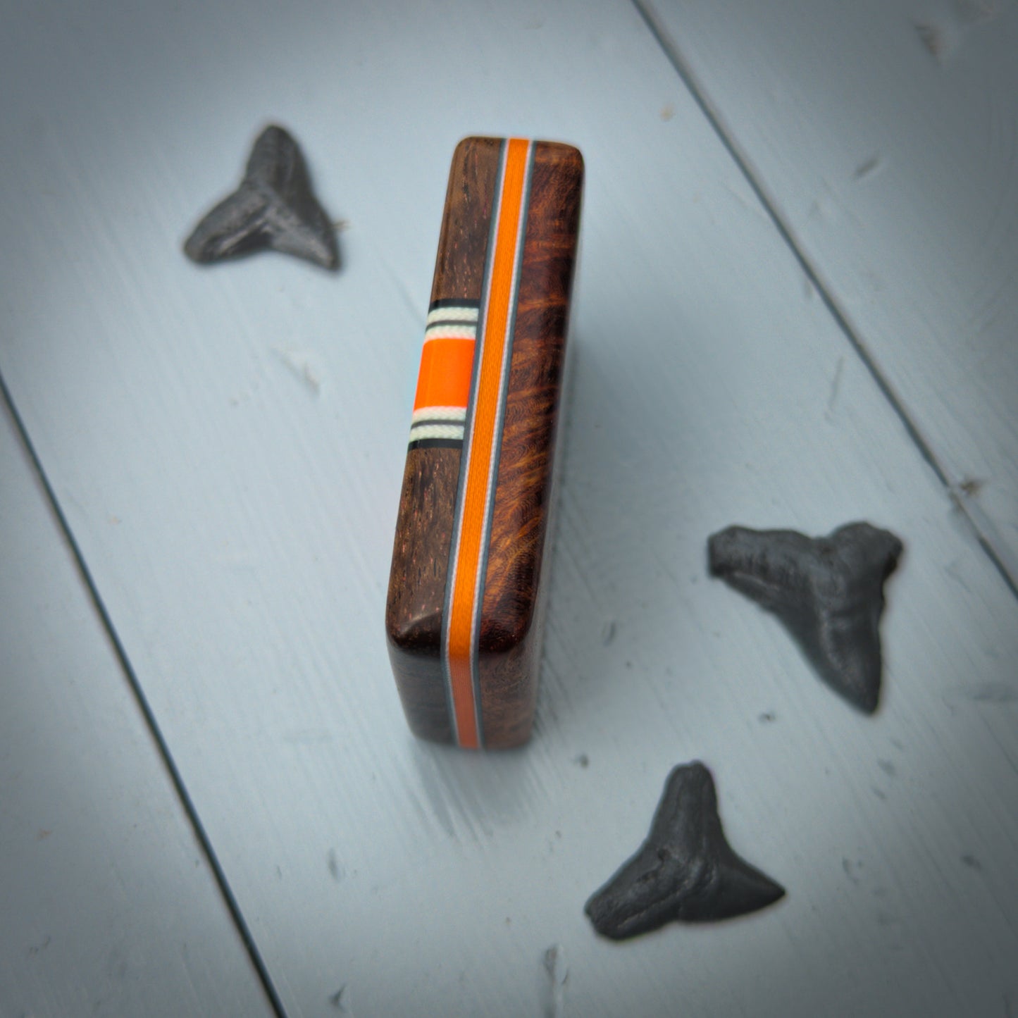 Shark Bite #45 - Small