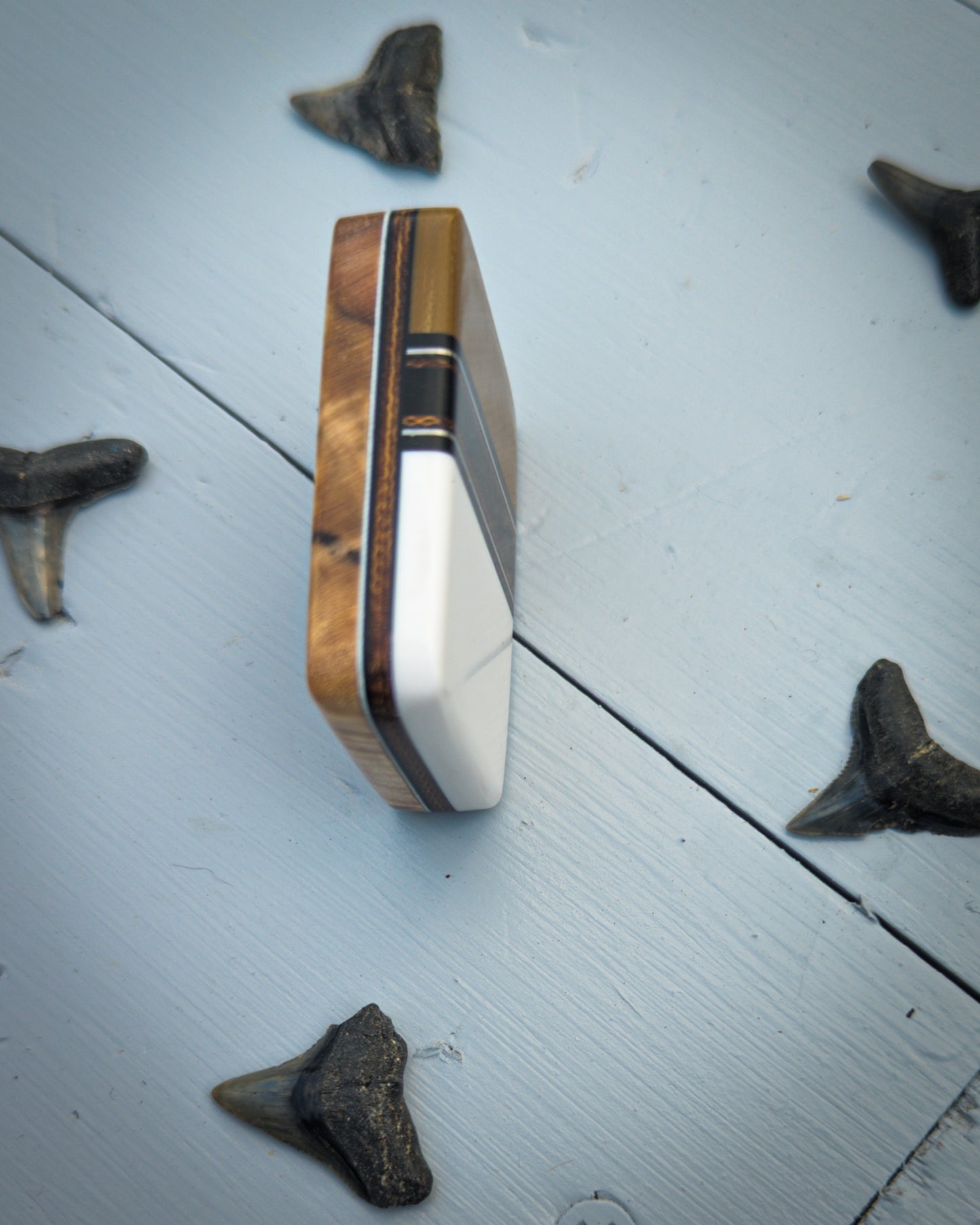 Shark Bite #50 - Small