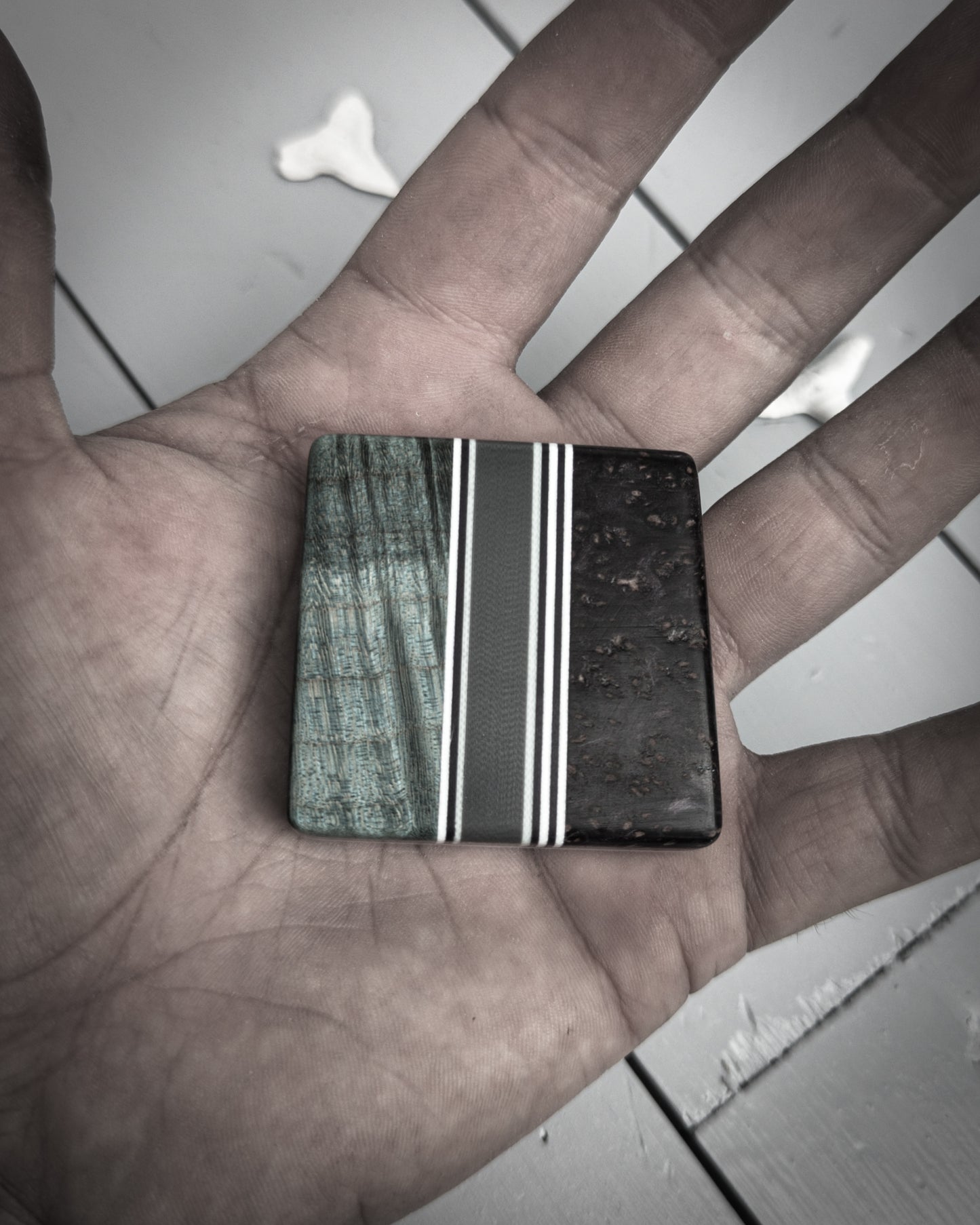 Shark Bite #51 - Medium