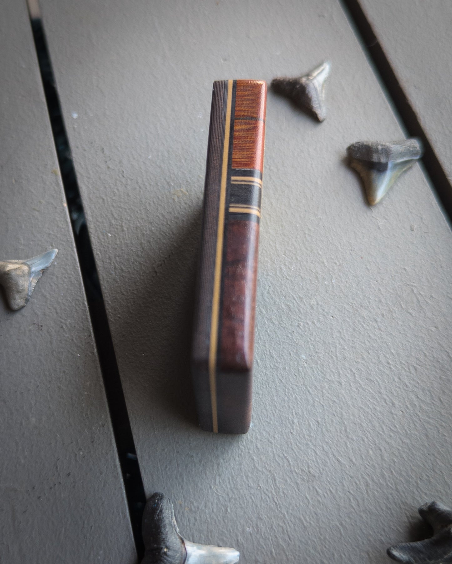 Shark Bite #59 - Large