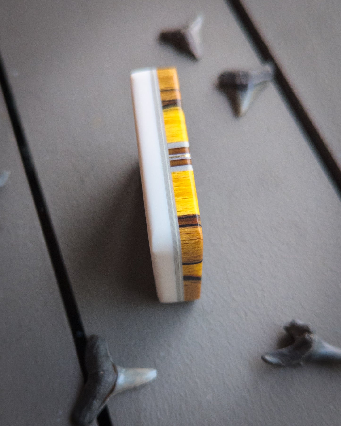 Shark Bite #57 - Medium