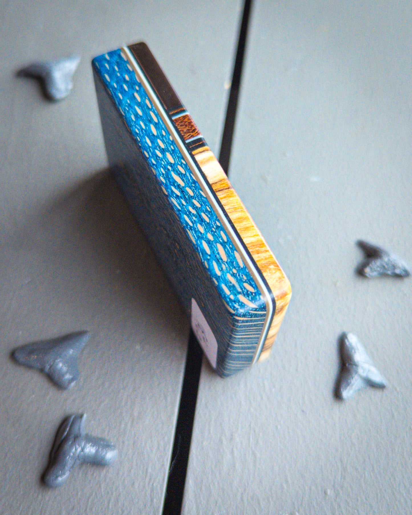 Shark Bite #73 - Large