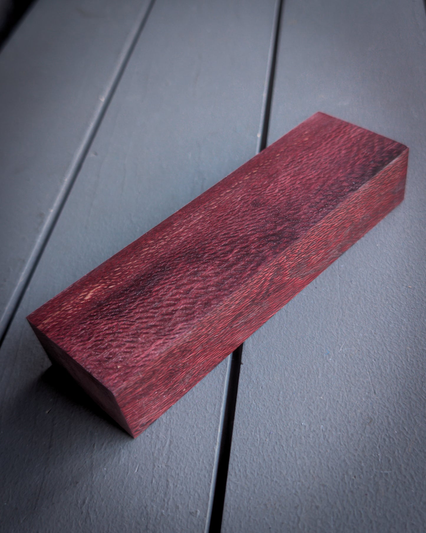 Maroon Sycamore
