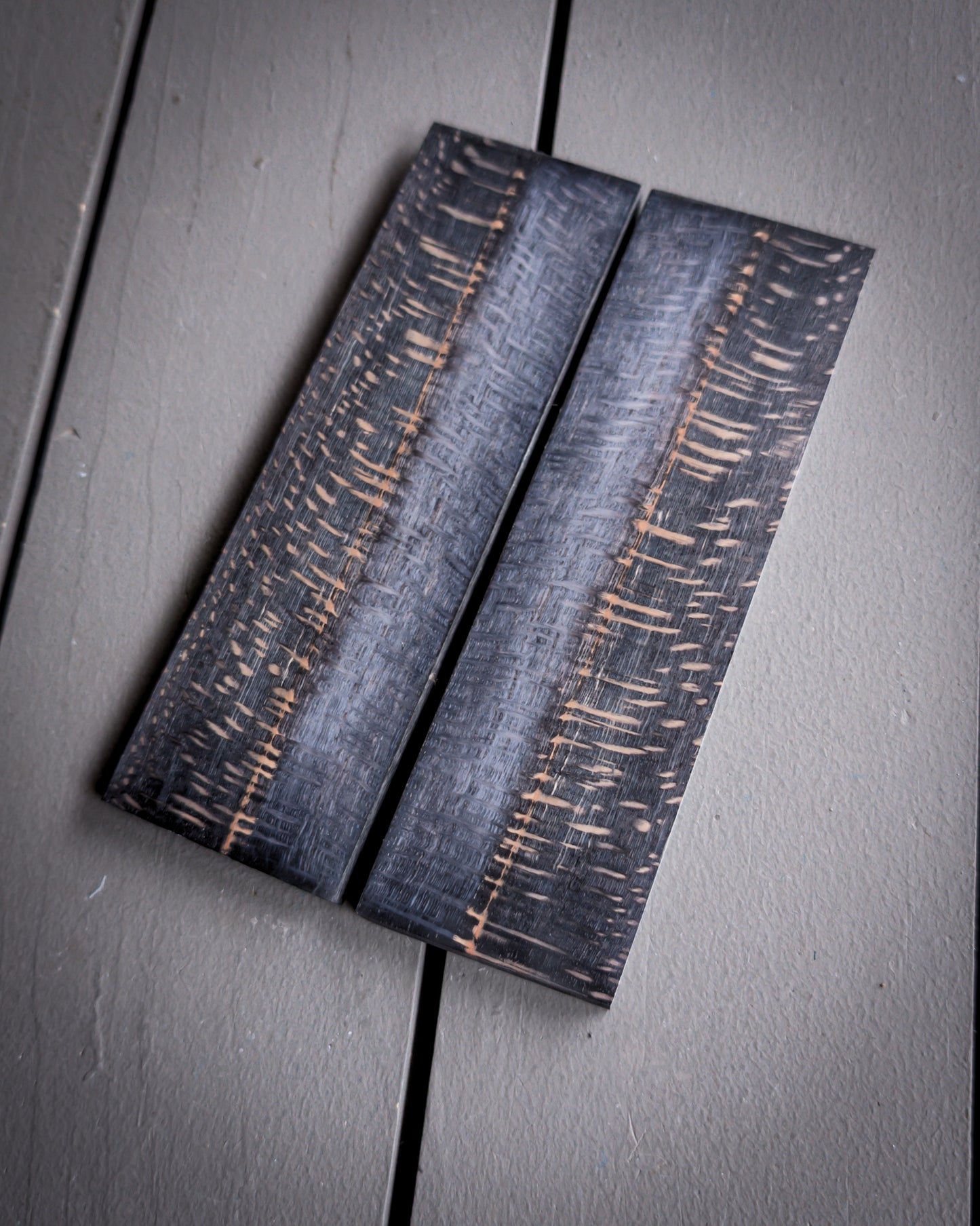 Black Sycamore