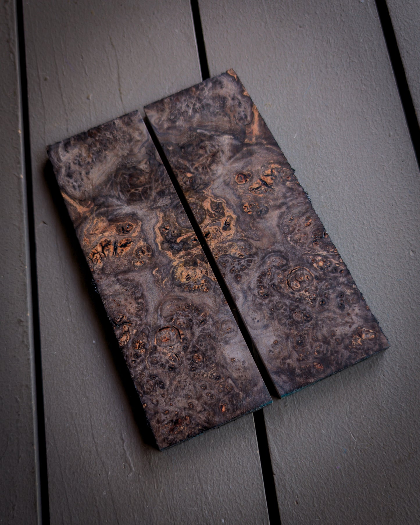Black Oak Burl