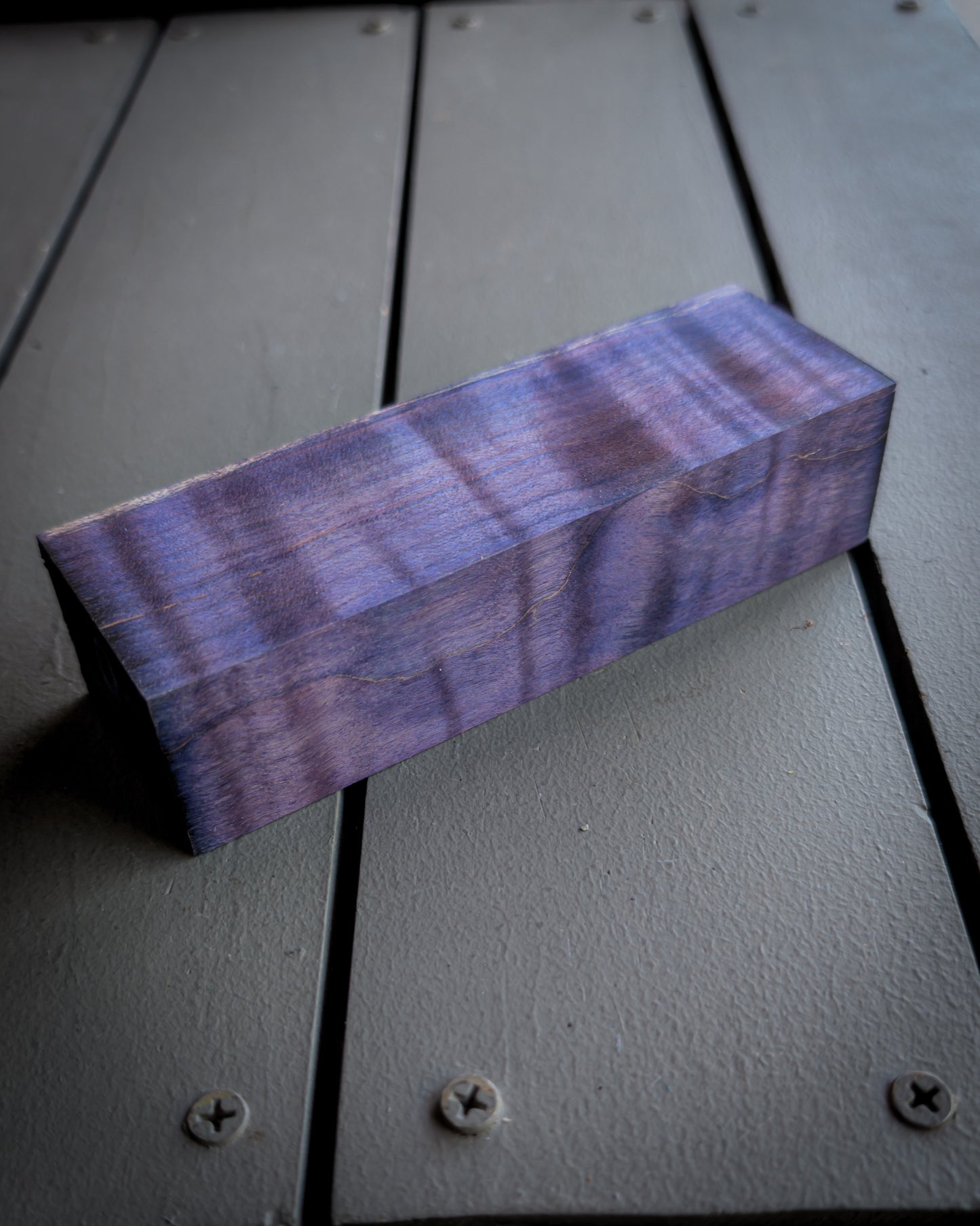 Purple Curly Maple