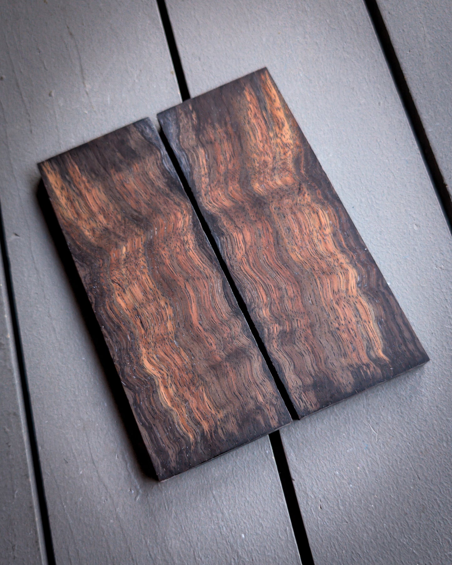Black Koa