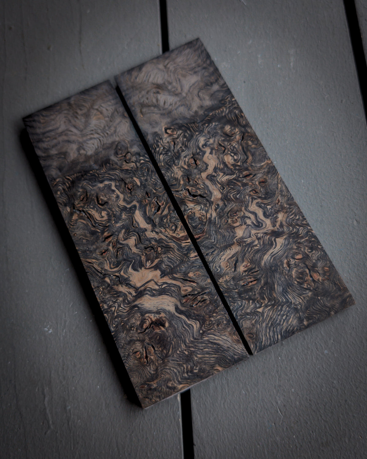 Black Burr Oak