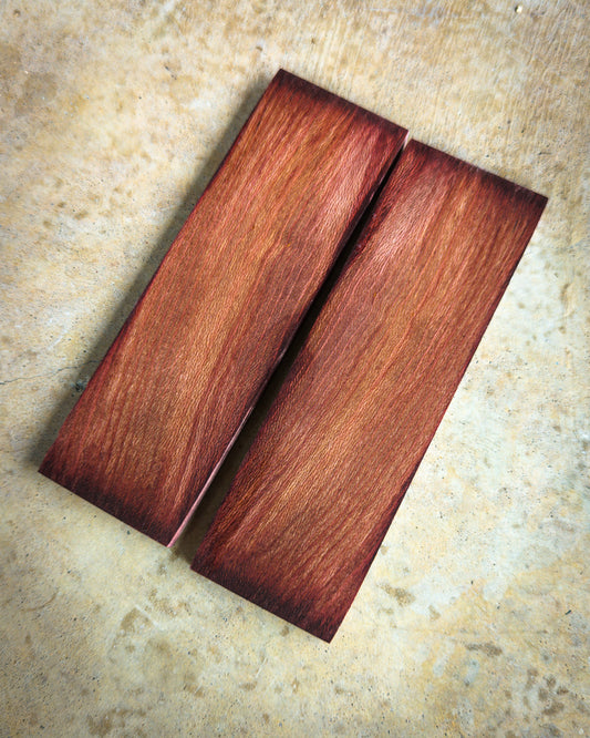 Maroon Sycamore