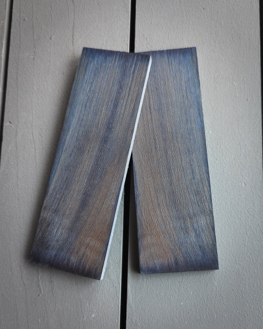Blue Sycamore