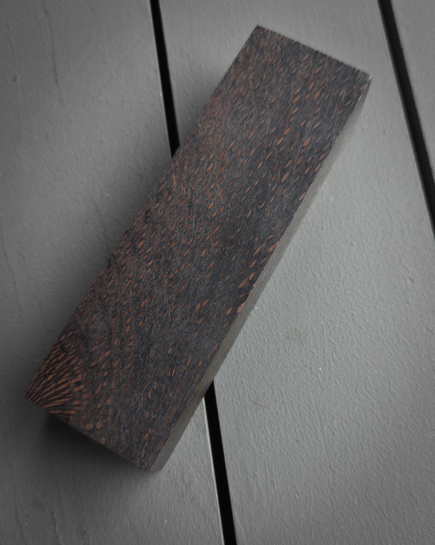 Black Macadamia