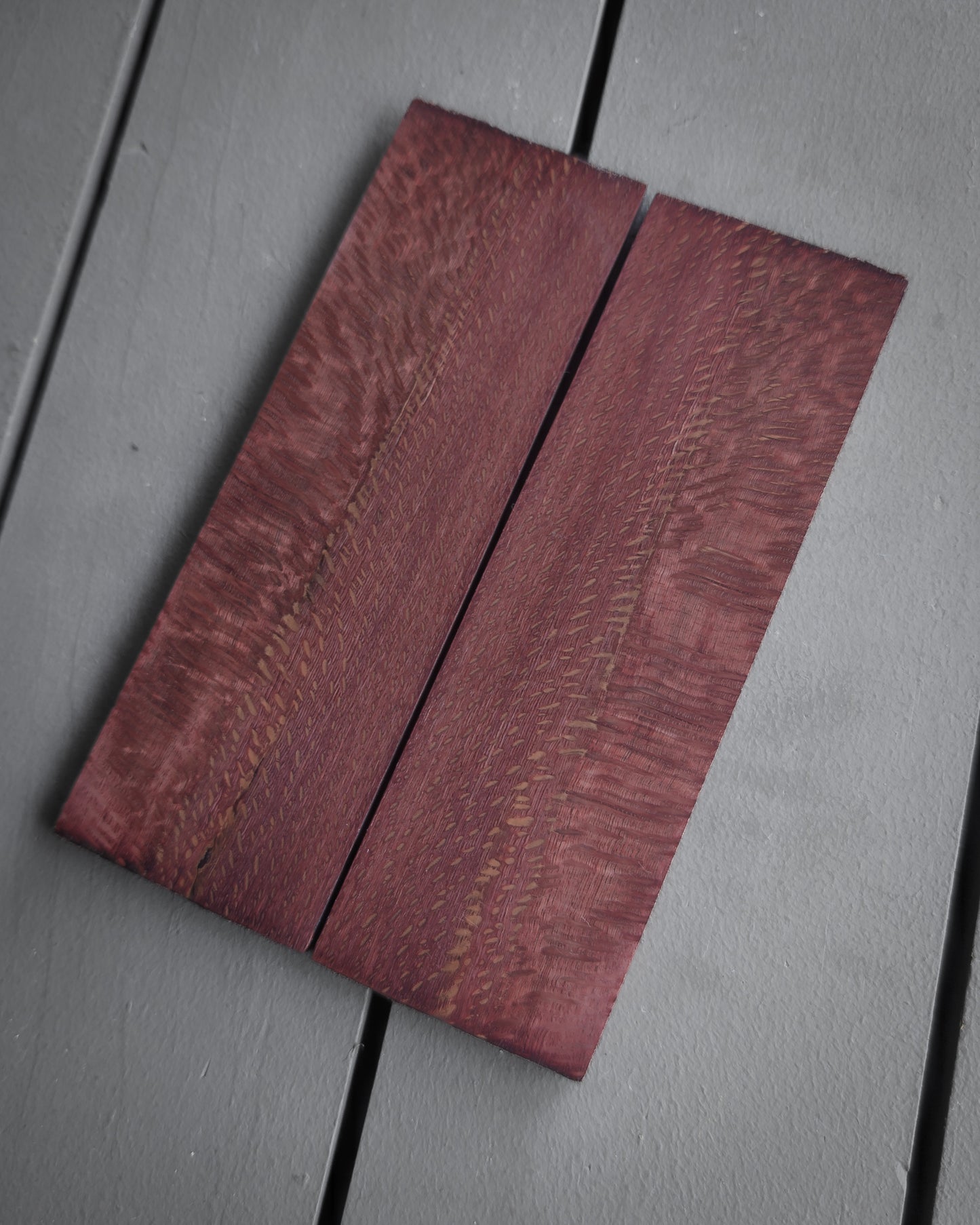 Maroon Sycamore