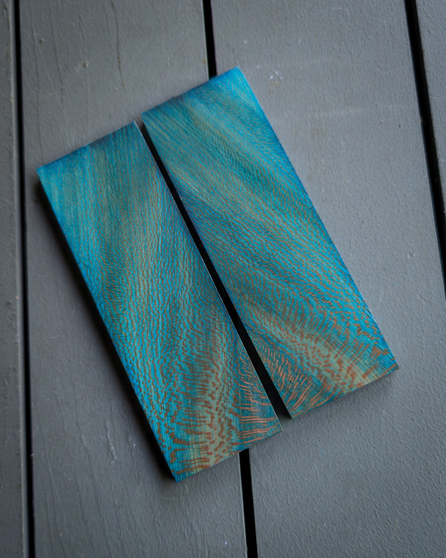 Teal Sycamore