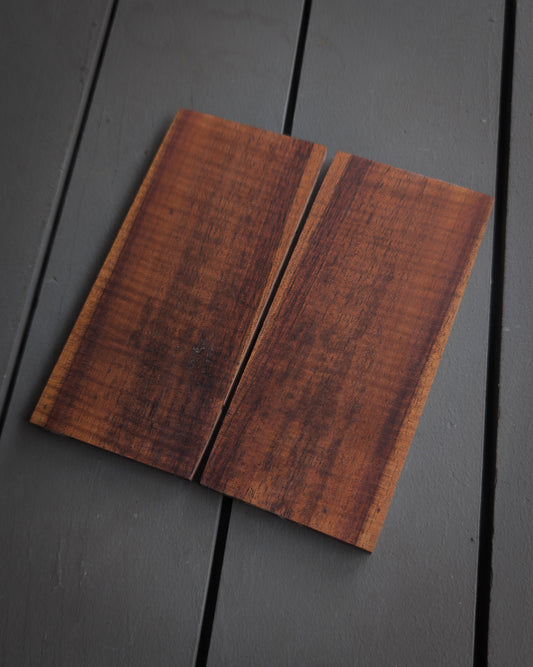 Curly Koa