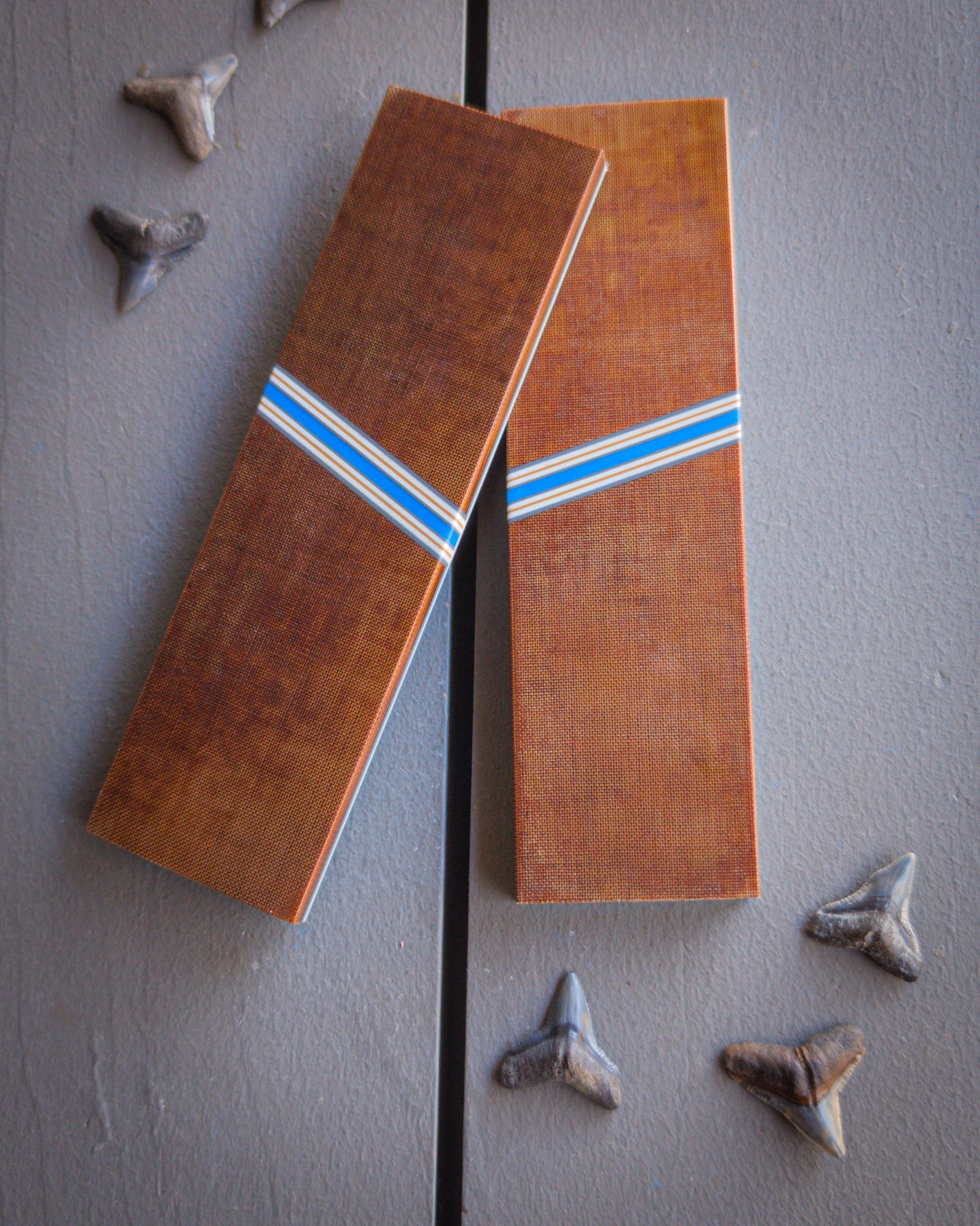 Sharky's Steal - Luxury