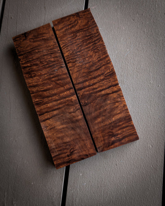 Crinkle Ringed Gidgee