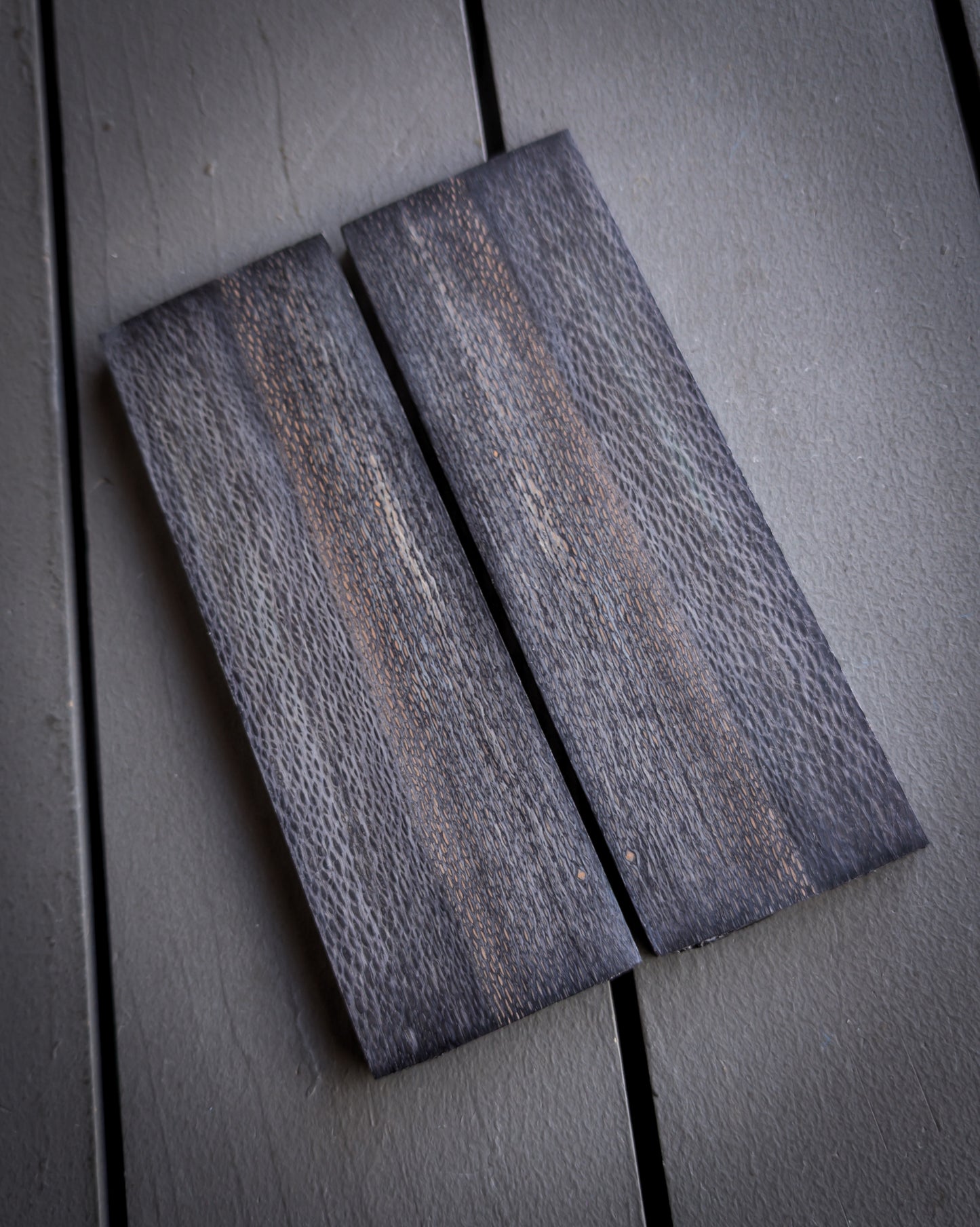 Black Sycamore