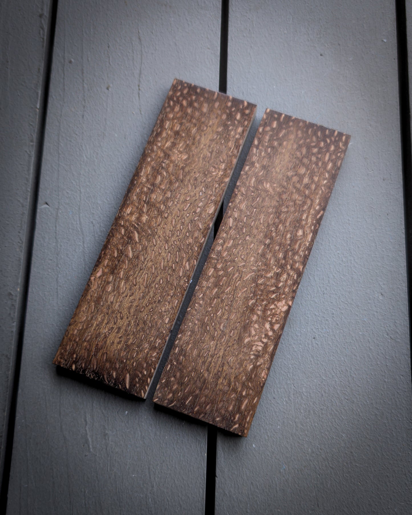 Brown Silk Oak