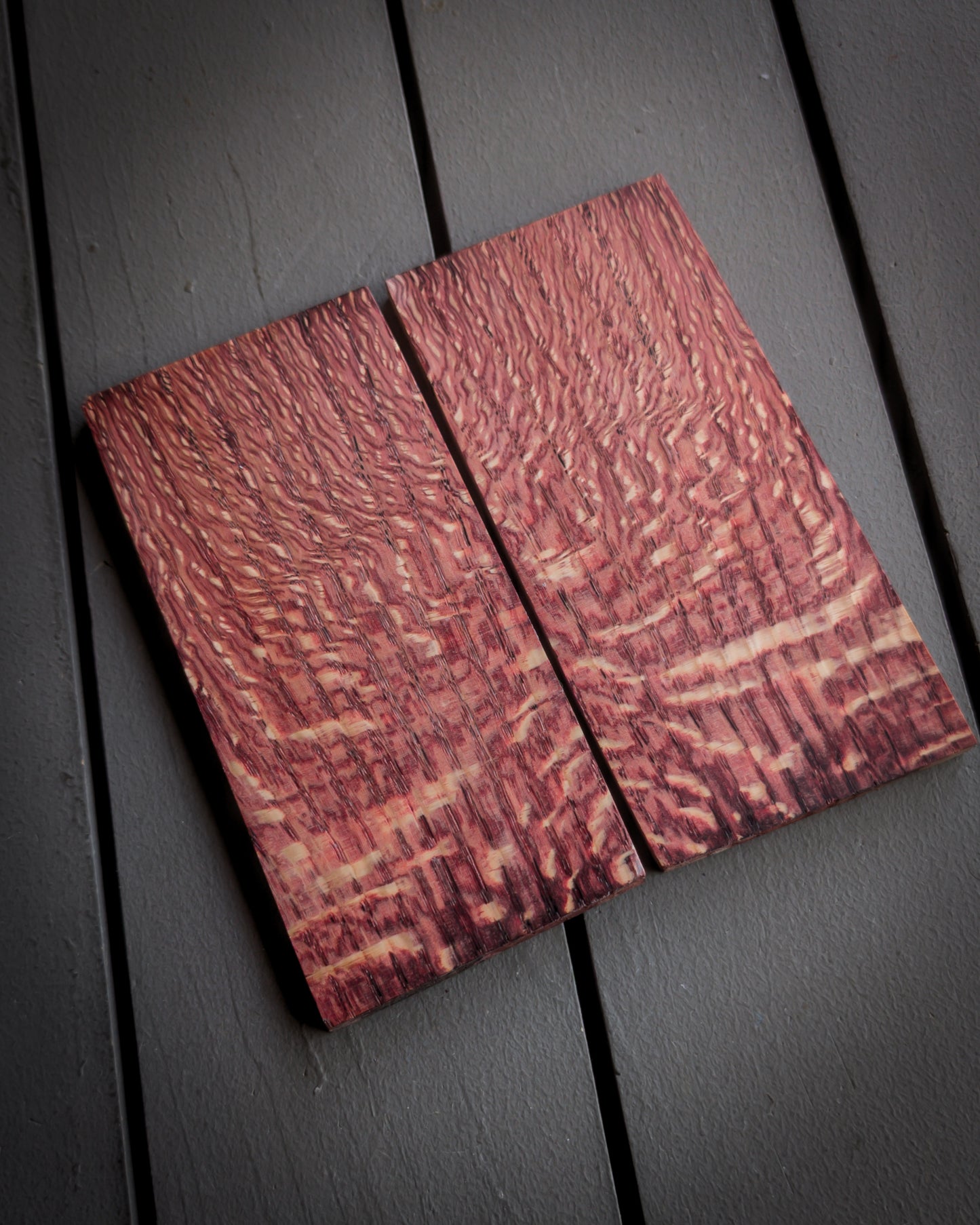 Jumbo Red Red Oak