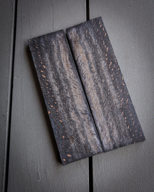 Black Silk Oak