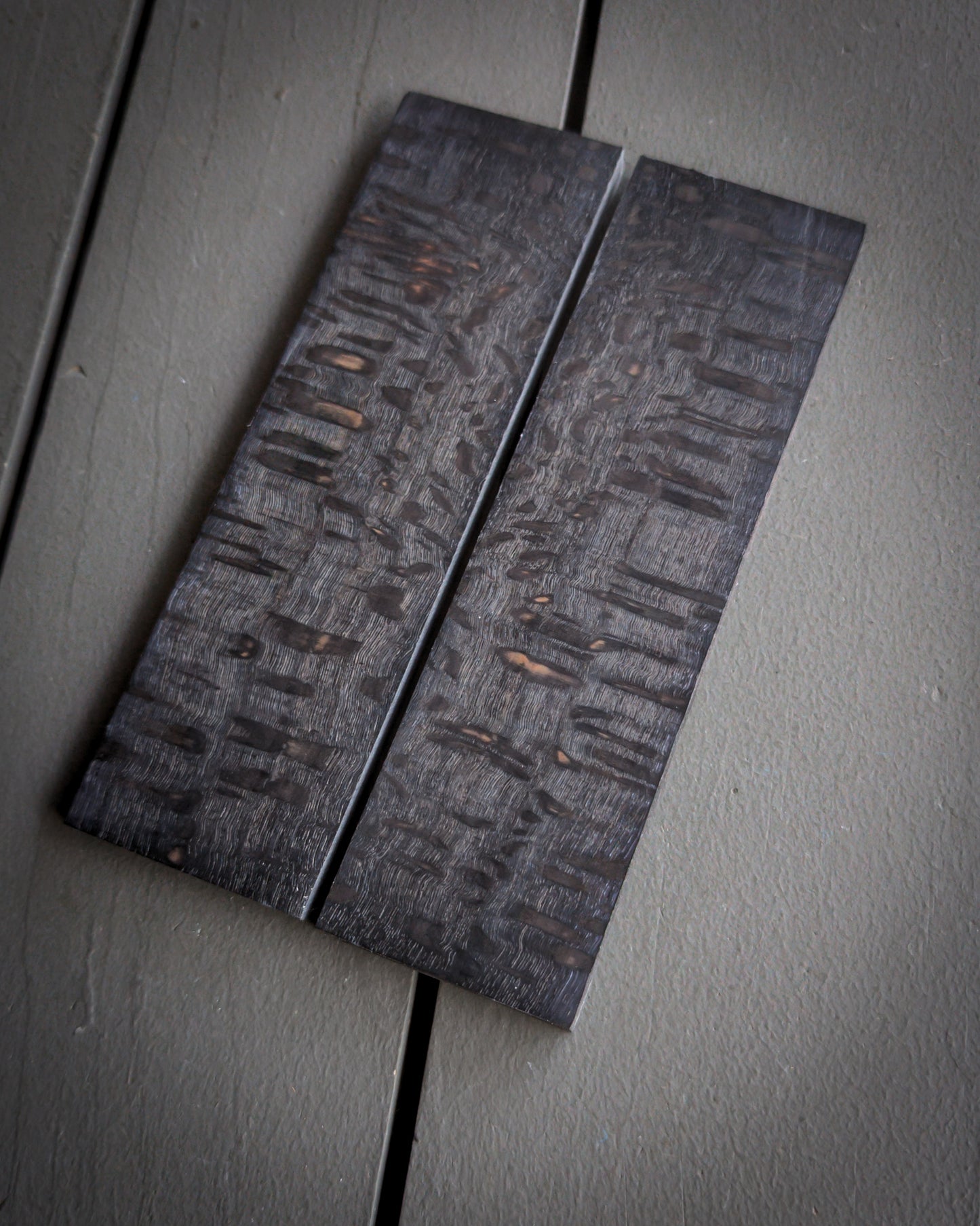 Black Silk Oak