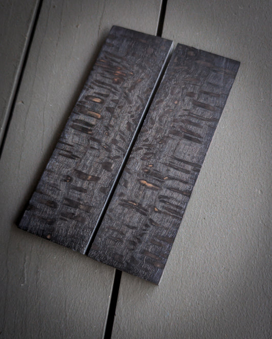 Black Silk Oak
