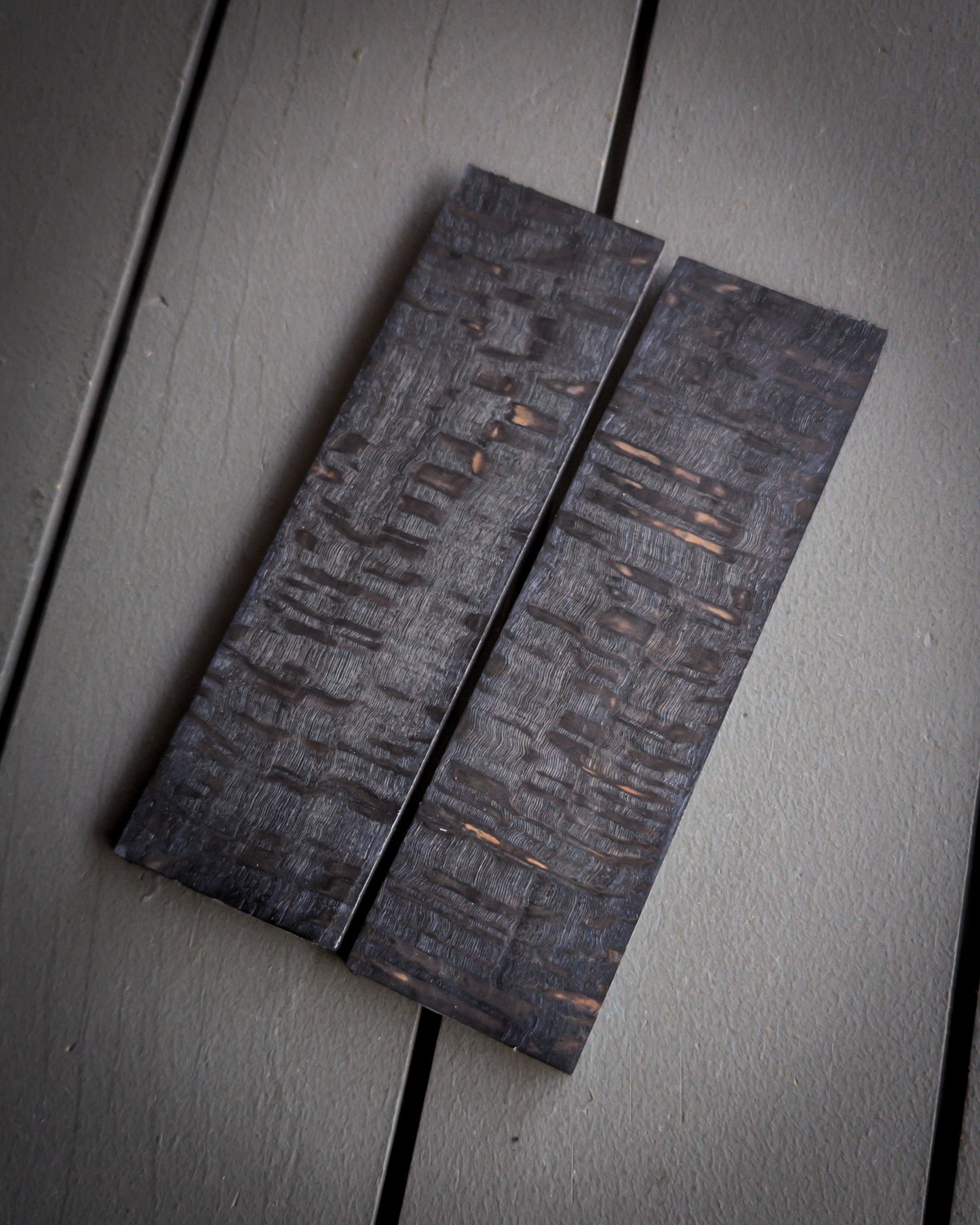Black Silk Oak