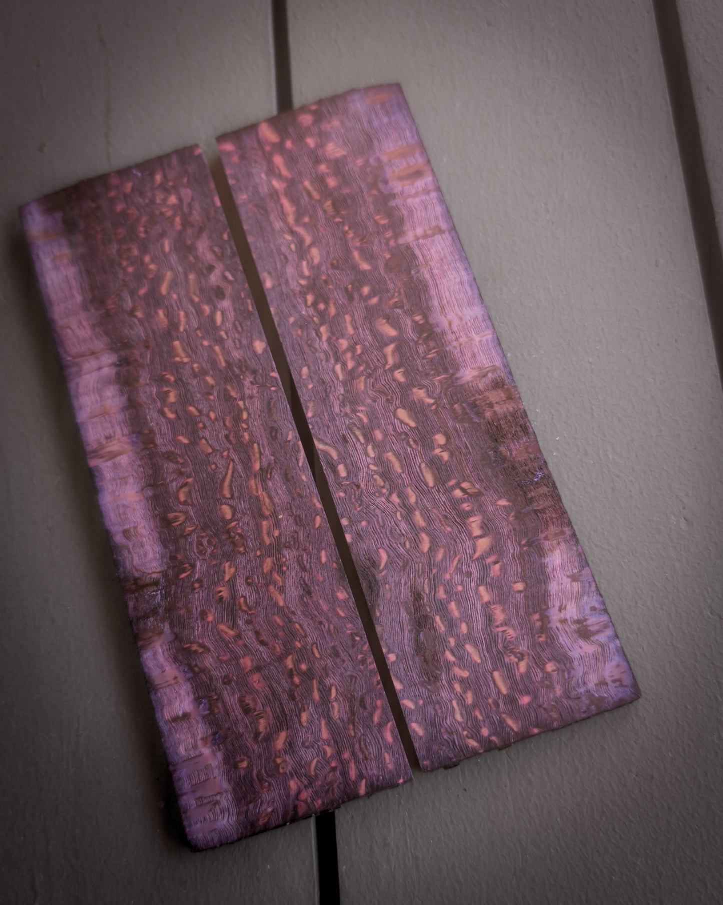 Purple Silkwood