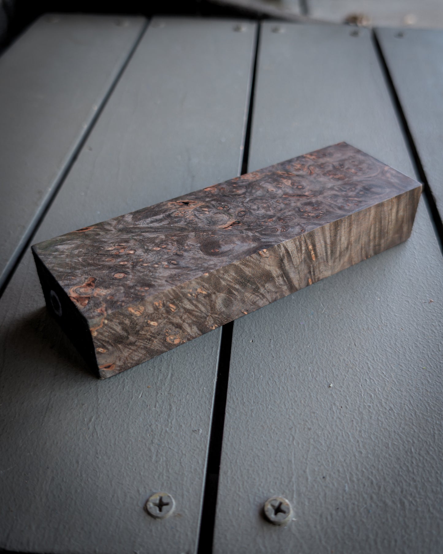 Grey Maple Burl