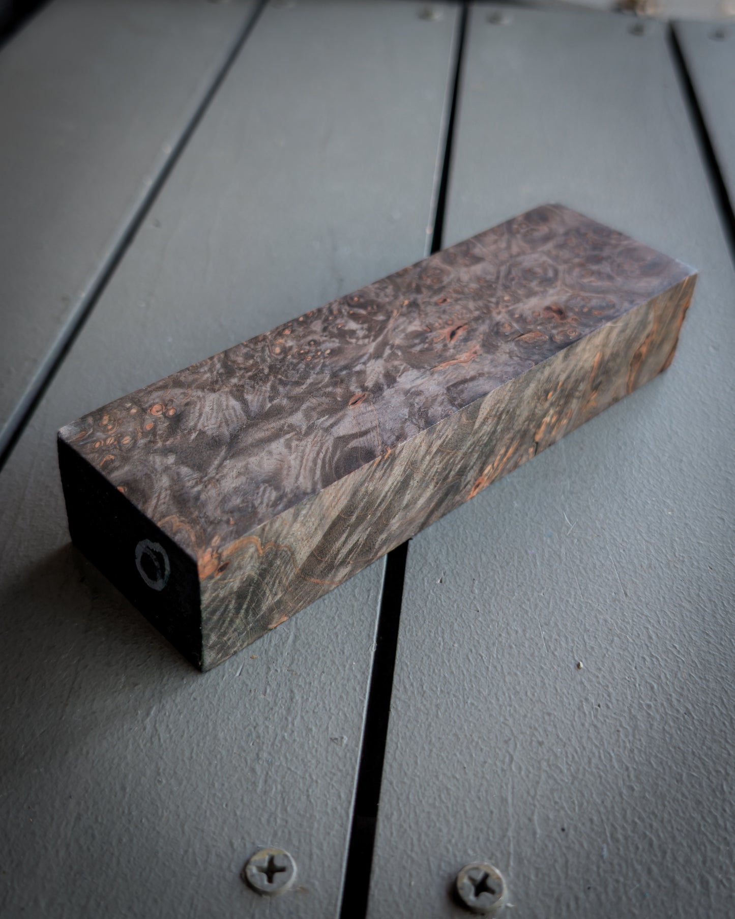 Grey Maple Burl
