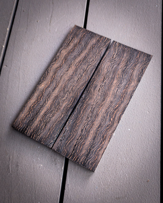 Black Red Oak