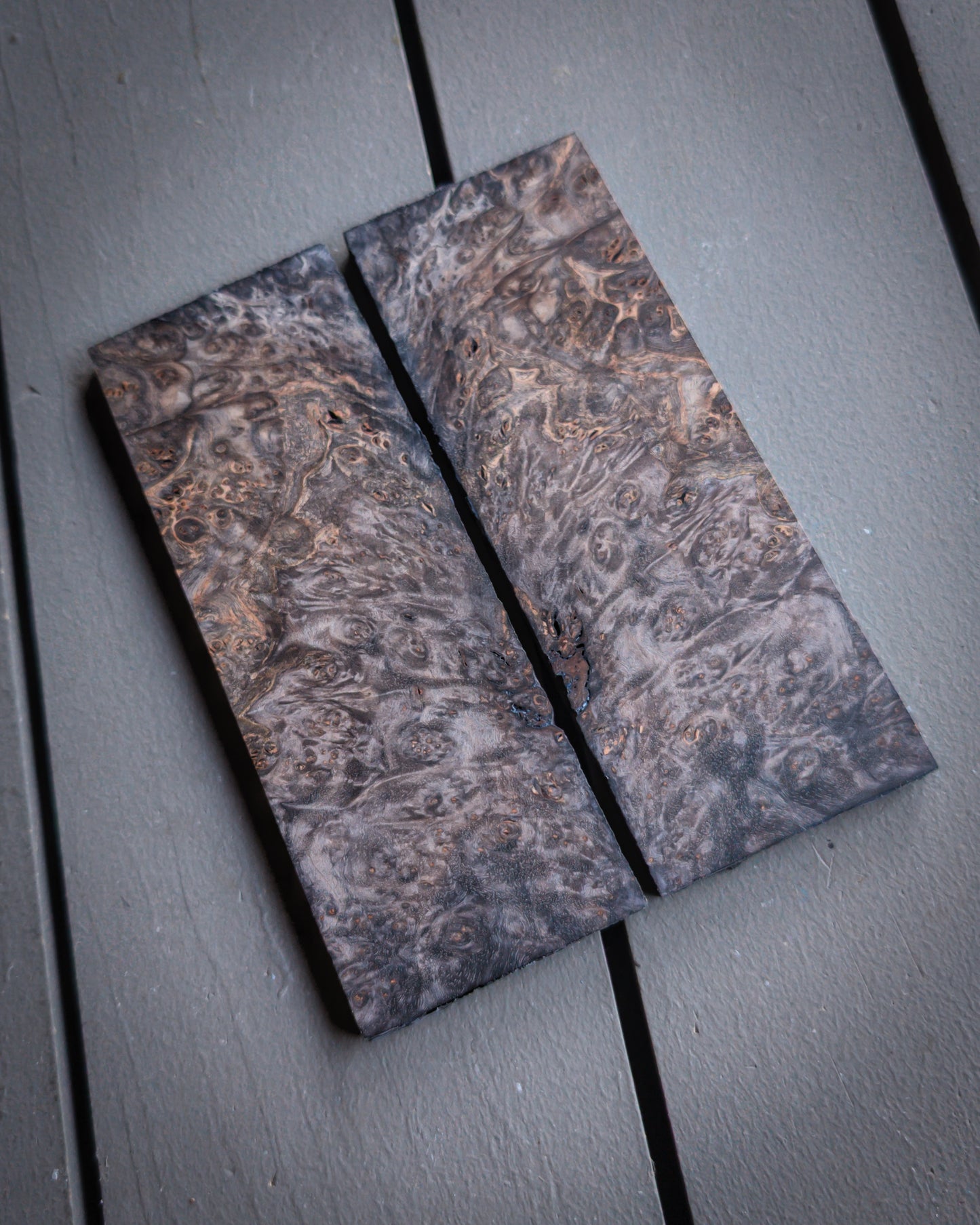 Black Oak Burl