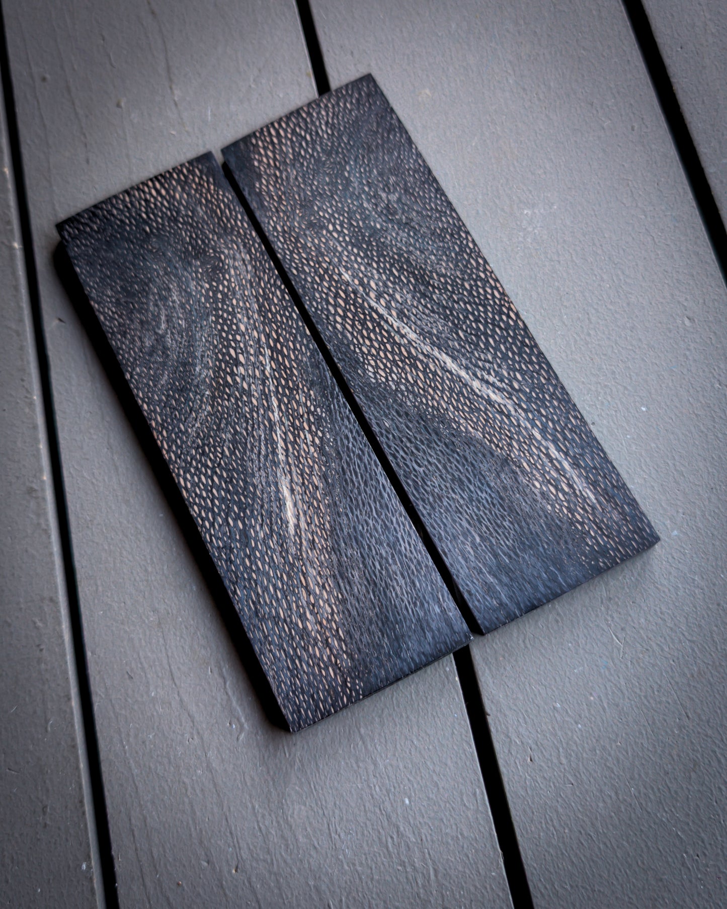 Black Sycamore