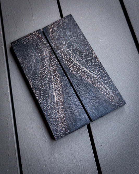 Black Sycamore