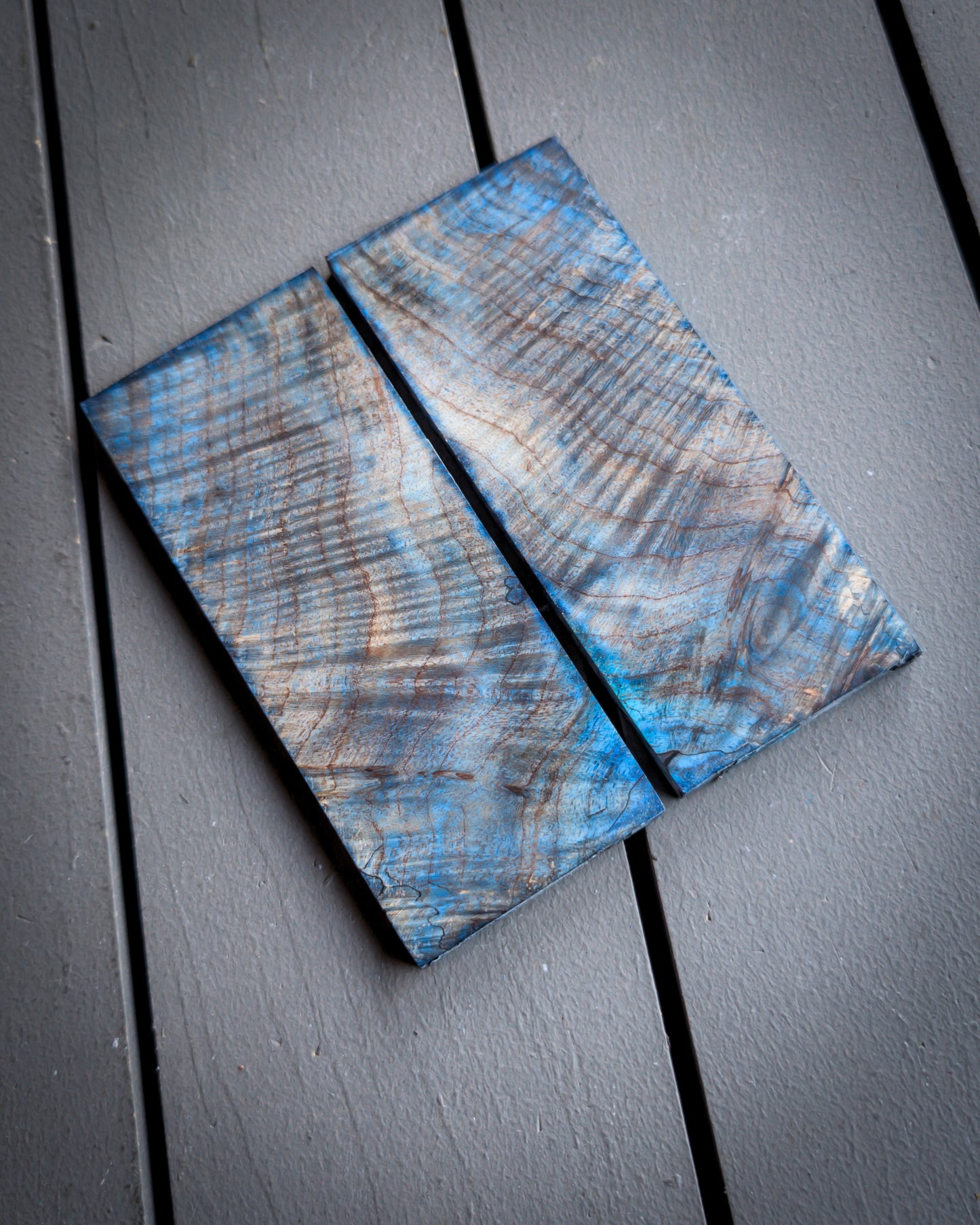 Blue Curly Maple