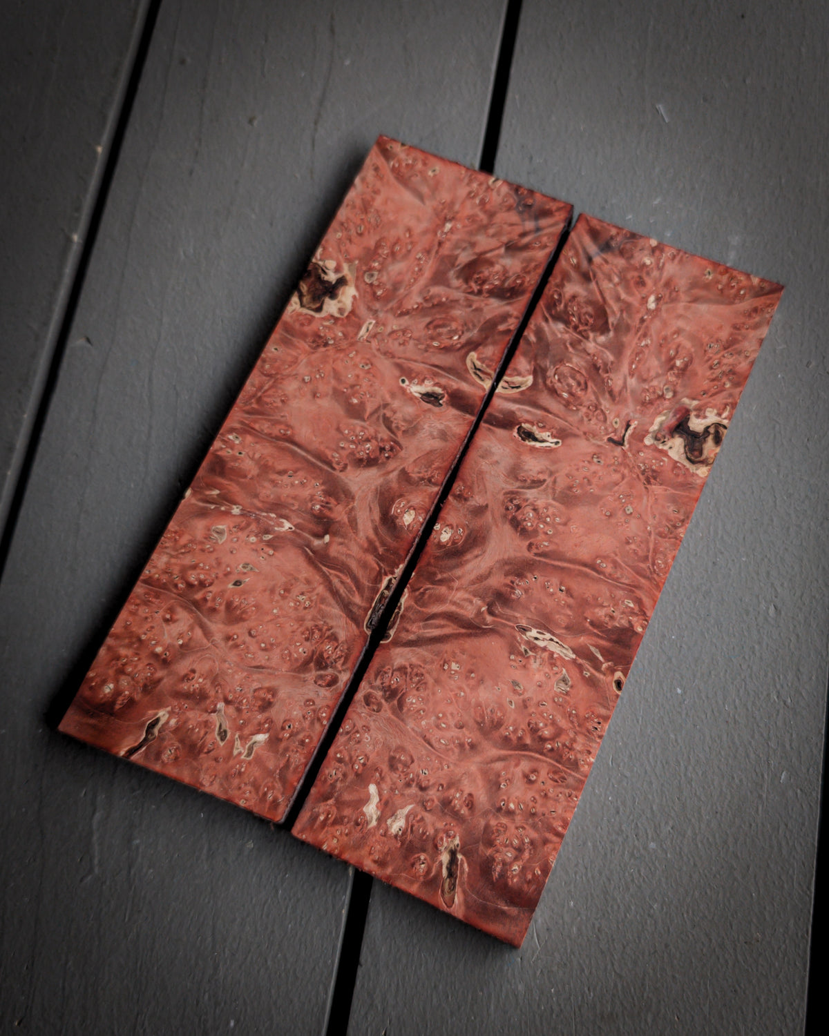 Orange Maple Burl