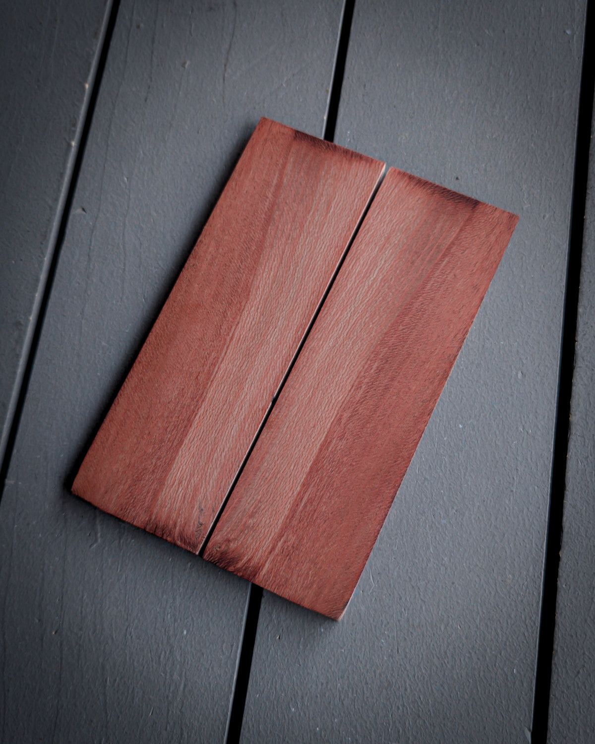 Orange Sycamore