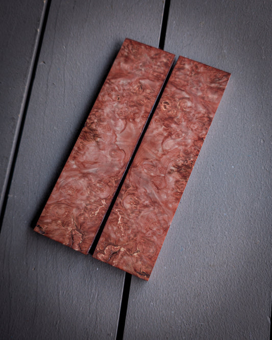 Orange Boxelder Burl
