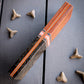 The Orange Portal - Combo Knife Scales